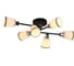 Потолочная люстра J-LIGHT 3172/6C 1