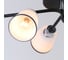 Потолочная люстра J-LIGHT 3172/6C 2