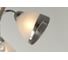 Потолочная люстра J-LIGHT ARIA 3133/5C 2