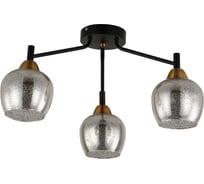 Потолочная люстра J-LIGHT BOBO 3193/3C