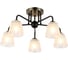 Потолочная люстра J-LIGHT DELLA 3135/5C 2