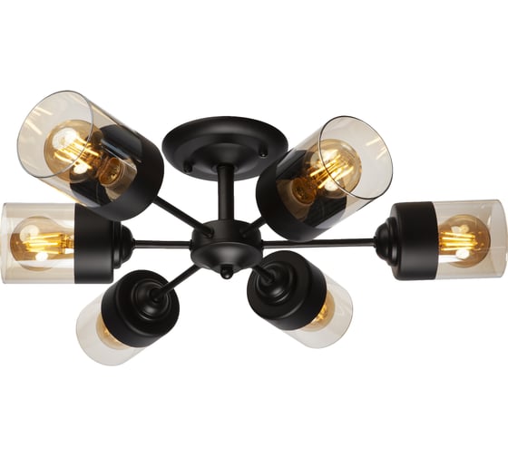 Потолочная люстра J-LIGHT DINA 3110/6C 1