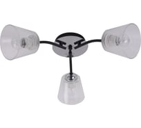 Потолочная люстра J-LIGHT EVA 3118/3C