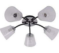 Потолочная люстра J-LIGHT EVA 3118/5C