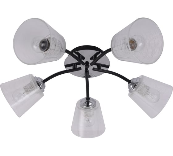 Потолочная люстра J-LIGHT EVA 3118/5C 1