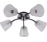 Потолочная люстра J-LIGHT EVA 3118/5C 1