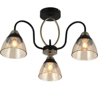 Потолочная люстра J-LIGHT FIONA 3136/3C