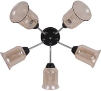 Потолочная люстра J-LIGHT GAVO 3120/5C