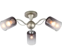 Потолочная люстра J-LIGHT ISA 3132/3C