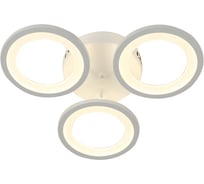 Потолочная люстра J-LIGHT KENA 5551/70C