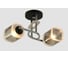 Потолочная люстра J-LIGHT KIRA 3122/2C 1
