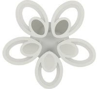Потолочная люстра J-LIGHT LILIAN 5562/120C