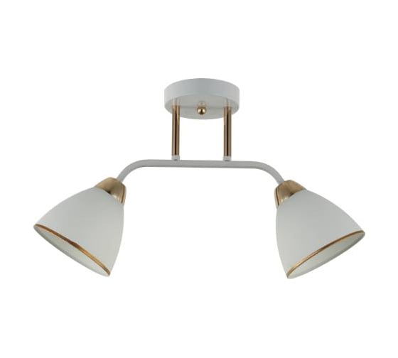 Потолочная люстра J-LIGHT MINI 3207/2C