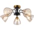 Потолочная люстра J-LIGHT NILETTI 3196/5C 2