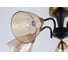 Потолочная люстра J-LIGHT NILETTI 3196/5C 6