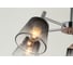 Потолочная люстра J-LIGHT MONTY 3200/5C 3