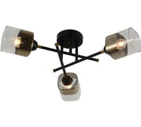 Потолочная люстра J-LIGHT NOA 3194/3C