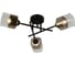 Потолочная люстра J-LIGHT NOA 3194/3C 1