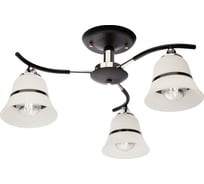 Потолочная люстра J-LIGHT NORI 1165/3C