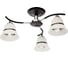 Потолочная люстра J-LIGHT NORI 1165/3C 1
