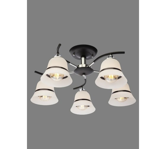 Потолочная люстра J-LIGHT NORI 1165/5C