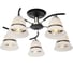 Потолочная люстра J-LIGHT NORI 1165/5C 2