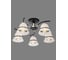 Потолочная люстра J-LIGHT NORI 1165/5C 3