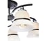 Потолочная люстра J-LIGHT NORI 1165/5C 5