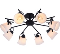 Потолочная люстра J-LIGHT OMNI 2365/8C