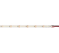 Лента светодиодная Jazzway PLS PRO-5 2835/180-24В 3000K 15Вт/м IP20 (уп.5м) 5055827