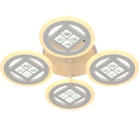 Потолочная люстра J-LIGHT TEKA 5601/130C