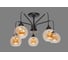 Потолочная люстра J-LIGHT VALH 2358/5C 4