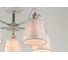Потолочная люстра J-LIGHT VENTY 3205/5C 5