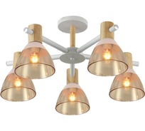 Потолочная люстра J-LIGHT VENA 3192/5C