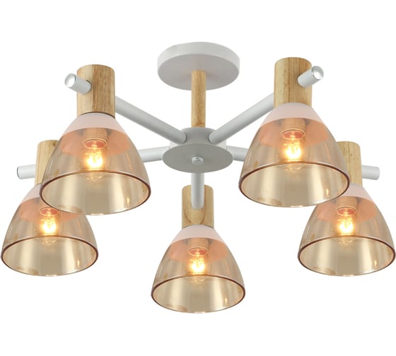 Потолочная люстра J-LIGHT VENA 3192/5C 1