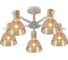 Потолочная люстра J-LIGHT VENA 3192/5C 1