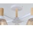 Потолочная люстра J-LIGHT VENA 3192/5C 3