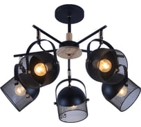 Потолочная люстра J-LIGHT WARDEN 2367/5C