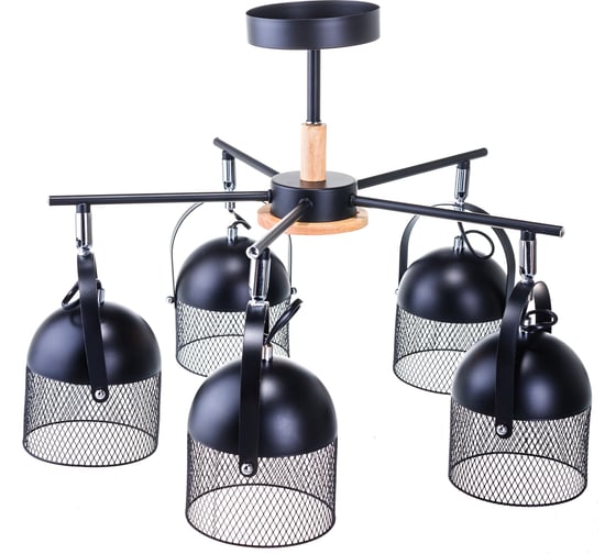 Потолочная люстра J-LIGHT WARDEN 2367/5C