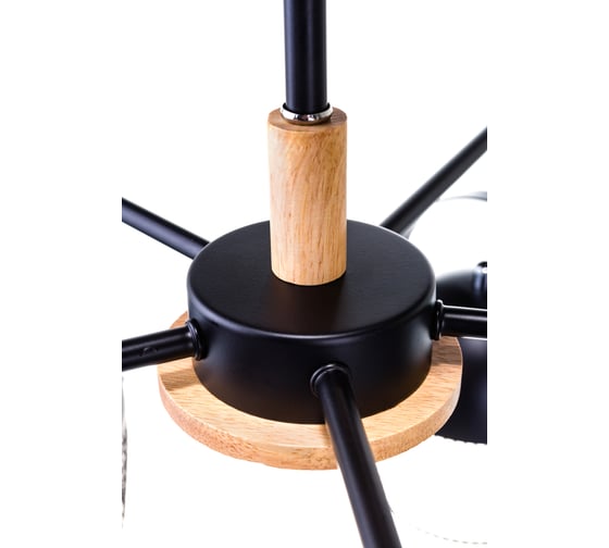 Потолочная люстра J-LIGHT WARDEN 2367/5C
