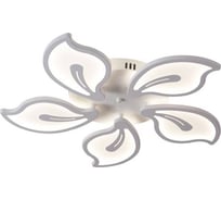 Потолочная люстра J-LIGHT FAUNA 5513/100C