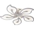 Потолочная люстра J-LIGHT FAUNA 5513/100C 1
