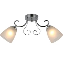 Потолочная люстра J-LIGHT WOS 3101/2C