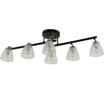Потолочная люстра J-LIGHT WENDY 3126/6C