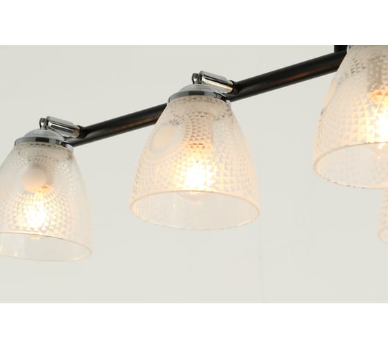 Потолочная люстра J-LIGHT WENDY 3126/6C