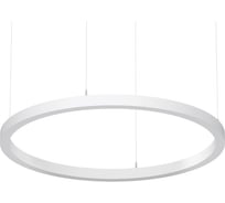 Светильник АСТЗ ДСО33-60-301 Horizon Ring 940 1300860301