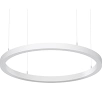Светильник АСТЗ ДСО33-50-201 Horizon Ring 940 1300850201