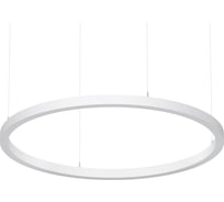 Светильник АСТЗ ДСО33-70-401 Horizon Ring 940 1300870401