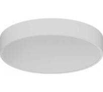 Светильник АСТЗ ДПО31-60-131 Zefir NL 840 1258406131