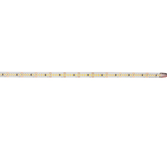 Лента светодиодная Jazzway PLS PRO-5 2835/240-24В, 4000K, 20Вт/м, IP20, упаковка 5м 5055889